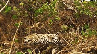 吃瓜爆笑君3,笑料横生，笑翻你的夏天！  第3张