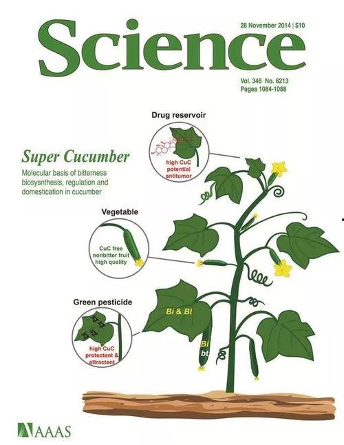 兴奋吃瓜,揭秘娱乐圈幕后真相  第3张