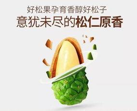 嗑瓜子吃瓜素材,跟随素材探寻吃瓜文化魅力  第2张