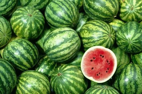 吃瓜哥吃西瓜,一场味蕾与视觉的双重盛宴