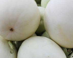 吃瓜大队简介,揭秘网络舆论场中的“瓜农”生活  第3张