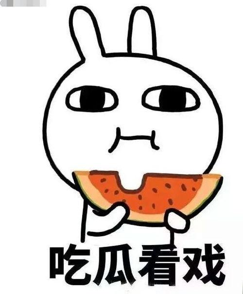 吃瓜杨波,揭秘娱乐圈背后的真实故事