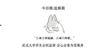 吃瓜少年在吃瓜下一句怎么说,揭秘娱乐圈幕后真相