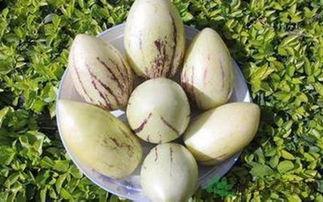 生日吃茄瓜好吗吗,传统习俗与健康益处的完美结合