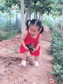 姑娘扔竹竿吃瓜  第2张