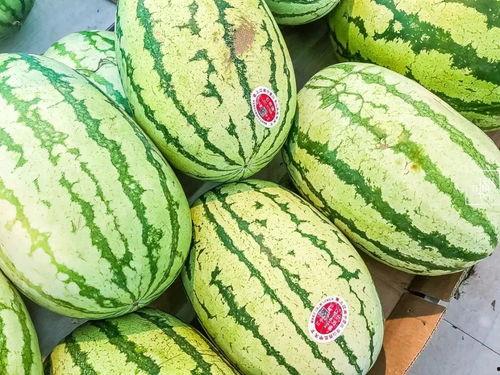 吃瓜年代感,见证时代变迁的民间娱乐史