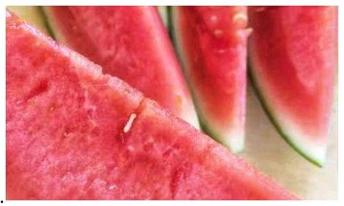 沙瓜和脆瓜吃的区别,口感与营养的差异化体验  第2张