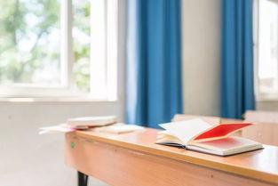 长椅校园吃瓜,揭秘校园生活点滴