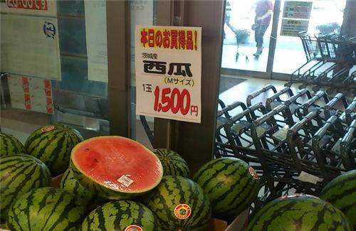 东北最新吃瓜,揭秘当地独特美食文化  第1张