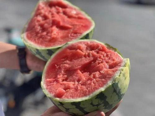 东北最新吃瓜,揭秘当地独特美食文化  第3张