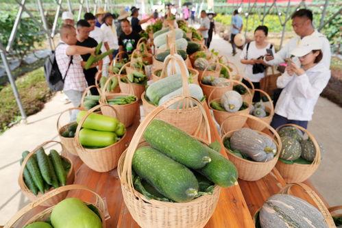 广州吃大瓜,大瓜盛宴，味蕾之旅