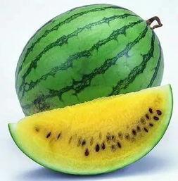 为什么吃瓜消暑,揭秘吃瓜的清凉奥秘