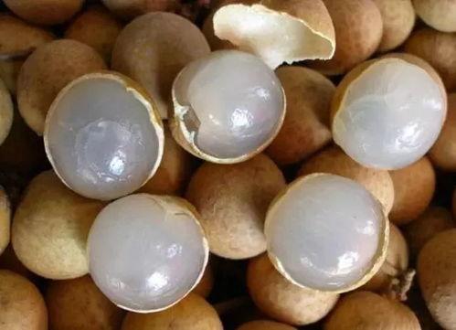 云朵酒店睡觉吃瓜,悠闲梦境中的瓜果时光