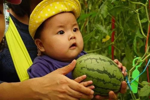 吃瓜资料群,网络社交的趣味与争议