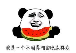 中国最牛吃瓜群众,揭秘网络舆论场中的“瓜王”传奇 第1张 中国最牛吃瓜群众,揭秘网络舆论场中的“瓜王”传奇 第1张