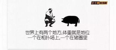 吃瓜比赛文案搞笑,一场笑料百出的吃瓜大赛盛宴！