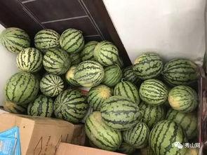 昌瑞吃瓜视频,揭秘娱乐圈幕后故事  第1张