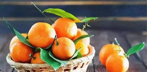 橘子橘子吃丸子瓜,探寻美食的奇妙融合之旅