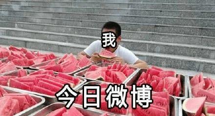 好奇的吃瓜,揭秘好奇吃瓜背后的故事与趣味