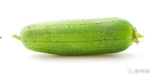 适合秋冬吃的瓜,秋冬季暖胃养生瓜果精选指南