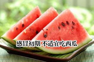 感冒可以吃瓜么,感冒期间适宜吃瓜吗？