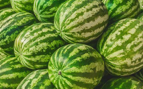 小瓜吃福州,福州美食之旅