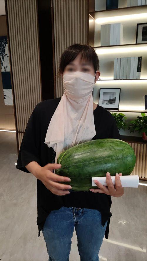 大瓜吃土瓜,一场味蕾的奇妙之旅