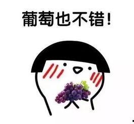 娱乐吃瓜君文字