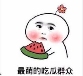 陈允浩吃瓜群众,吃瓜群众的视角解读娱乐圈风云