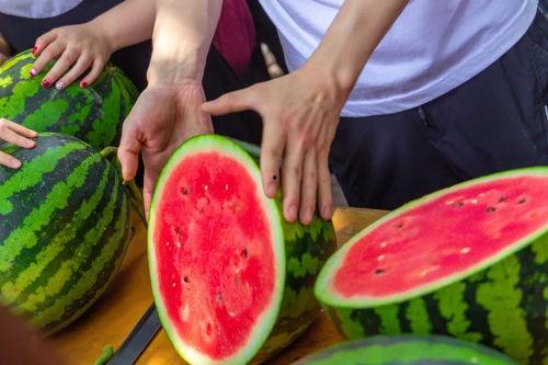 南京高校吃瓜事件,揭秘校园网络舆论风波