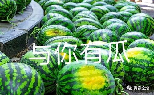 南京高校吃瓜事件,揭秘校园网络舆论风波