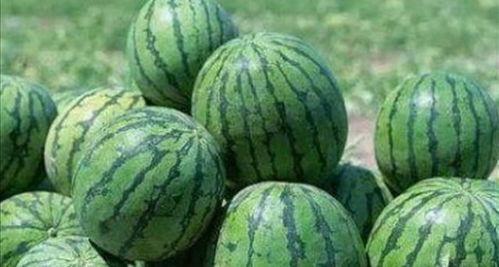 乾隆吃瓜寓意,消暑解忧，寓意深远的宫廷趣事