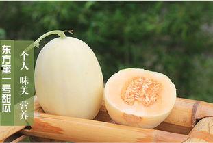 怎么吃黄色蜜瓜,揭秘黄色蜜瓜的完美食用之道