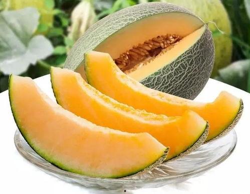 瓜州中午吃啥,探寻当地特色午餐