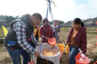盐山吃瓜群,揭秘民间趣味生活圈