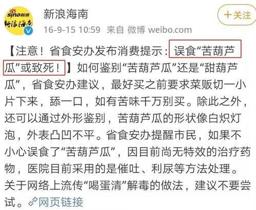 带你吃瓜歌名谐音歌词,一场别开生面的“瓜界盛宴”