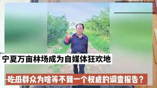 吃瓜群众和林,揭秘娱乐圈的幕后故事