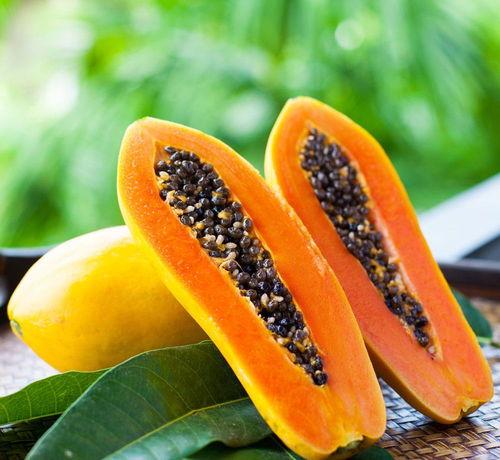 籽瓜适合秋天吃,籽瓜的秋季美味之旅