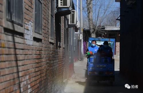 北京吃瓜疫情,社会观察与心理解读