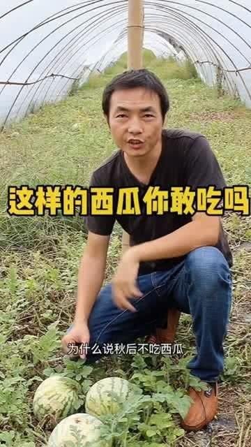 吃瓜义义,吃瓜群众视角下的社会百态