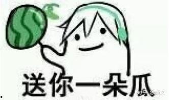 吃瓜义义,吃瓜群众视角下的社会百态