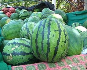 怎样说吃瓜,网络热议背后的娱乐现象解析