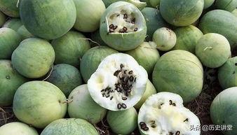 嗑瓜子吃瓜照片,一张照片背后的故事