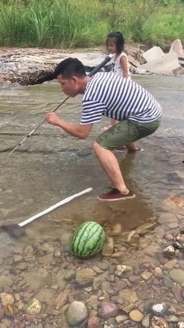 吃瓜去游泳或者看大鱼