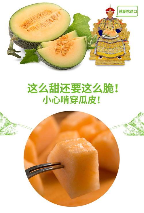 蜜瓜抱着吃,共享美味与温馨