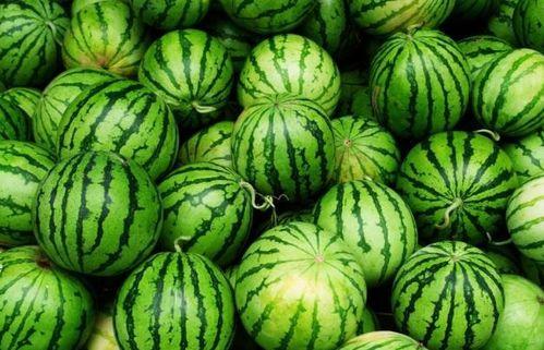 吃四瓜对,揭秘夏日消暑养生的四大秘籍