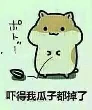 吃瓜视频看戏榜,揭秘热门话题背后的娱乐风云