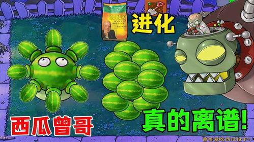 吃西瓜抢瓜大战  第3张